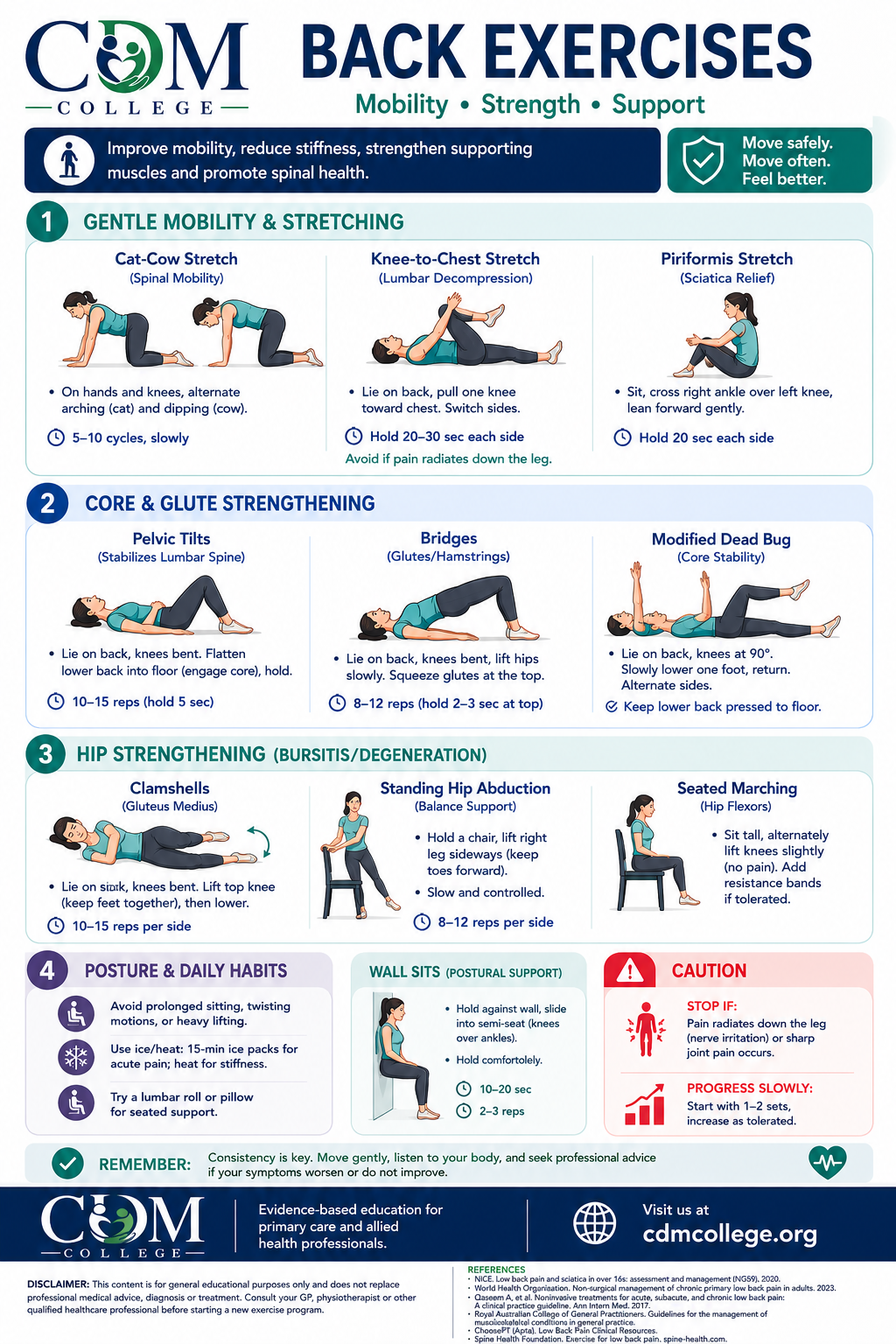 Back Pain Exercises: Safe, Evidence-Based Movements to Improve Mobility and Reduce Pain