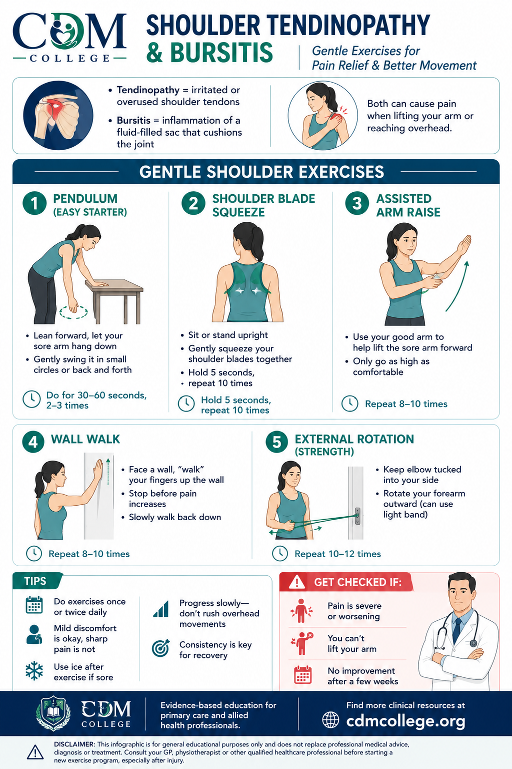 Shoulder Tendinopathy & Bursitis: Gentle Exercises to Reduce Pain and Restore Movement